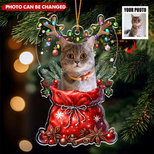 Peeking Pet Christmas - Personalized Acrylic Ornament