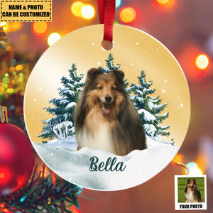 Custom Pet Photo Mirror Personalized Acrylic Christmas Ornament