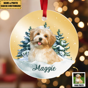 Custom Pet Photo Mirror Personalized Acrylic Christmas Ornament