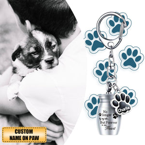 Pet Memorial Ashes Urn With Paw Print Personalized Keychain, Clasp Closure Keepsake