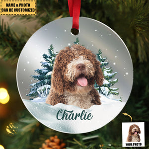 Custom Pet Photo Mirror Personalized Acrylic Christmas Ornament